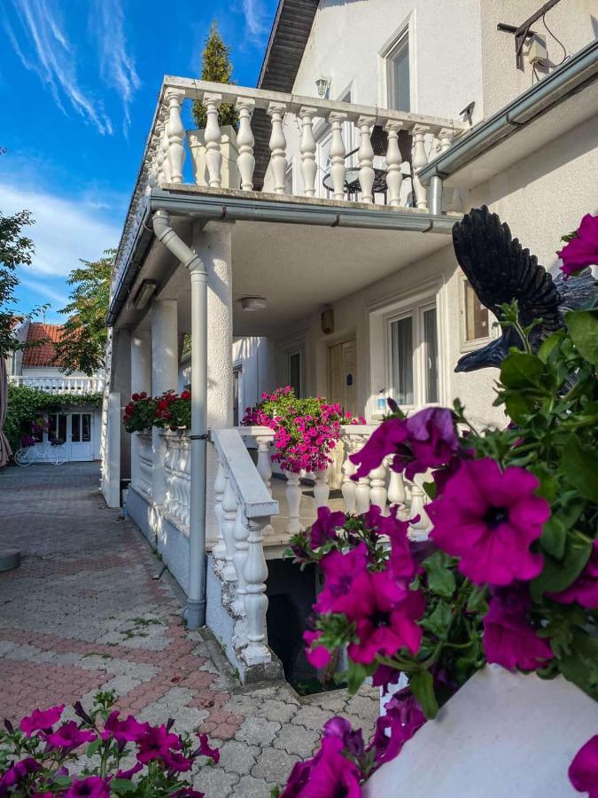 Pančevo Apartments Vila White House المظهر الخارجي الصورة